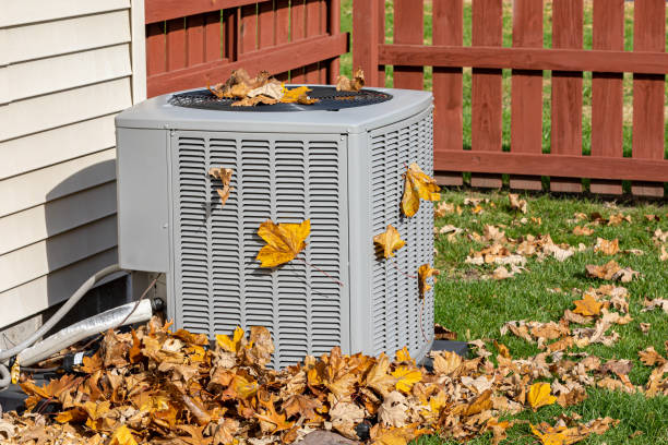 Best HVAC air duct cleaning  in East Valley, NV